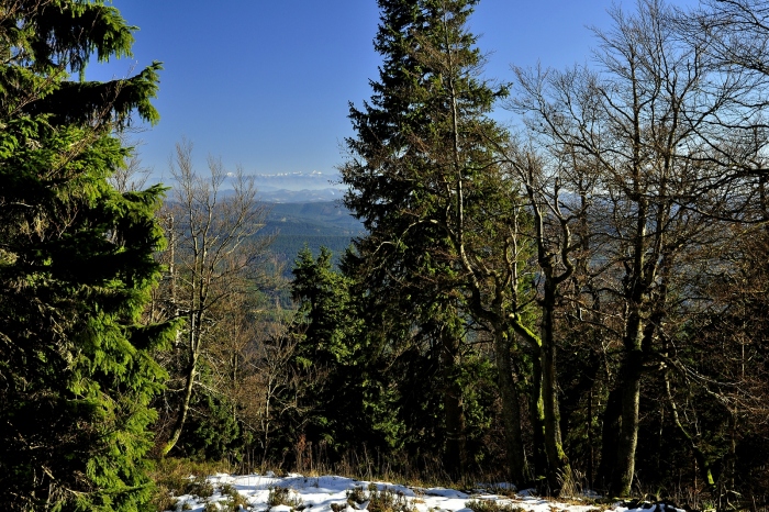 To se podaří málokdy aby byly vidět Tatry z Beskyd.